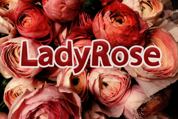 Beautiful Display Font for Web Design
