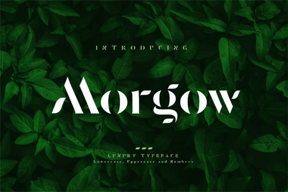Morgow: A Stylish Display Font
